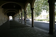 Img 120